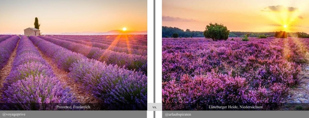 Beispiel für eine Hochzeitslocation in der Lüneburger Heide, bei welcher der Ausblick genauso ist, wie in der Provence.